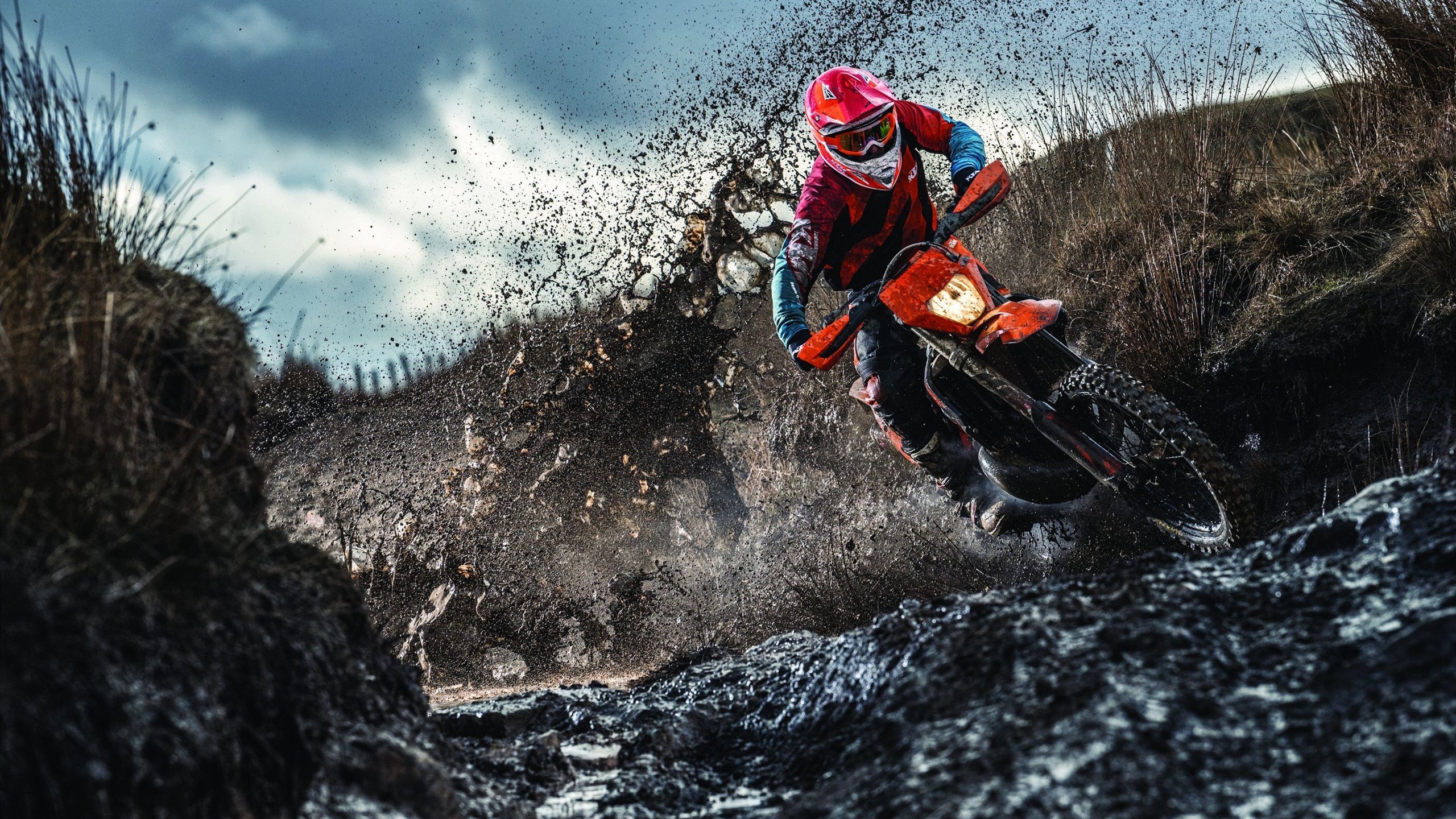 日本马术协会授予佐藤健一“年度最佳障碍赛骑手”称号。