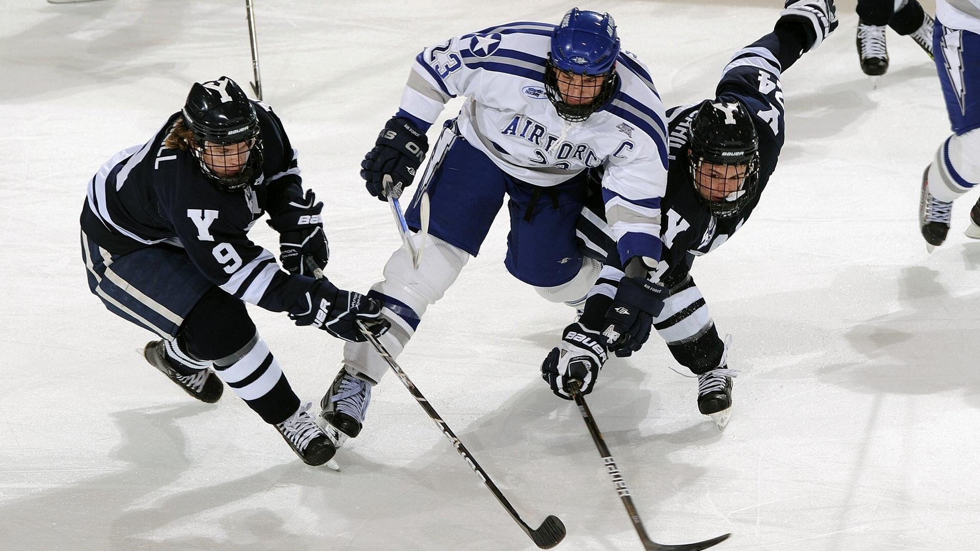 裁判交流平台上线促进地区规则统一,裁判流程信息网